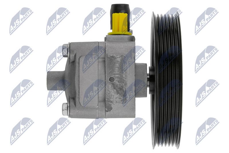NTY SPW-VV-004 Hydraulic Pump, steering