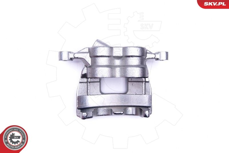 ESEN SKV 50SKV011 Brake Caliper