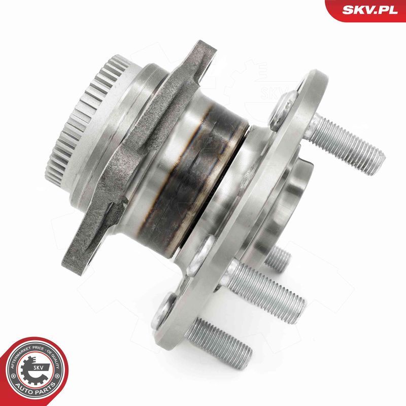 ESEN SKV 29SKV669 Wheel Bearing Kit