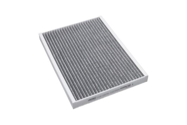 AMC Filter FCA-10078C - Salono filtras