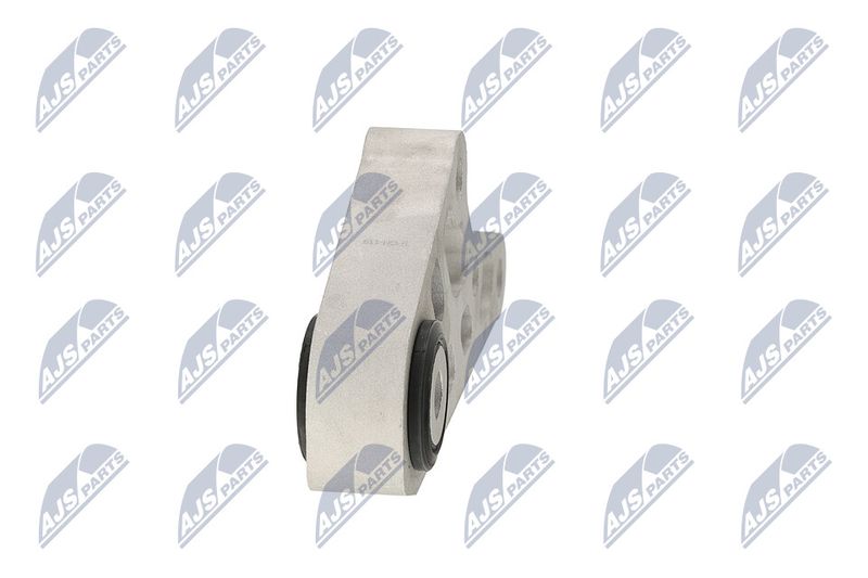 Paigutus, Mootor, NTY ZPS-CH-119