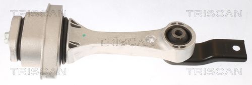 TRISCAN felfüggesztés, motor 8505 29100