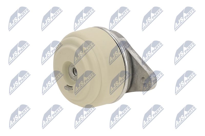 Paigutus, Mootor, NTY ZPS-ME-076