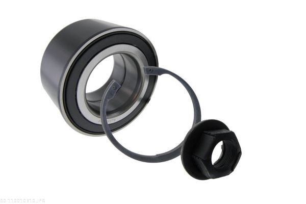 AUTOMEGA 110010310 - Wheel Bearing Kit
