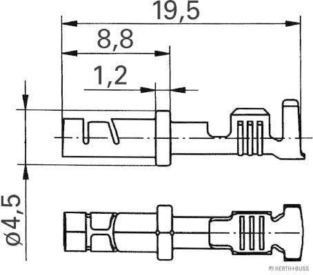 50253301088_TZ.JPG