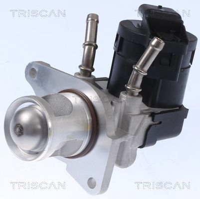 TRISCAN AGR-szelep 8813 11001