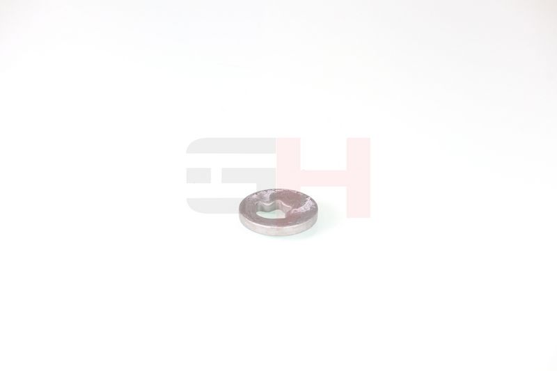 caster shim, sillatala, GH GH-391582