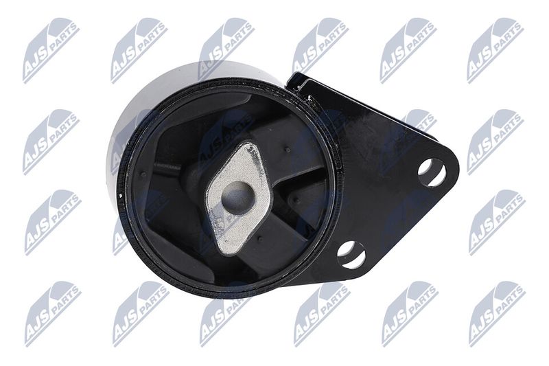 Paigutus, Mootor, NTY ZPS-CH-064