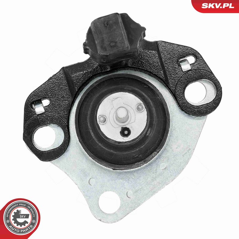 Paigutus, Mootor, ESEN SKV...