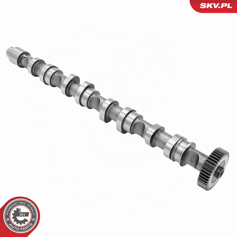 ESEN SKV 80SKV010 Camshaft