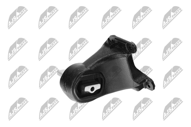 Paigutus, Mootor, NTY ZPS-CH-173