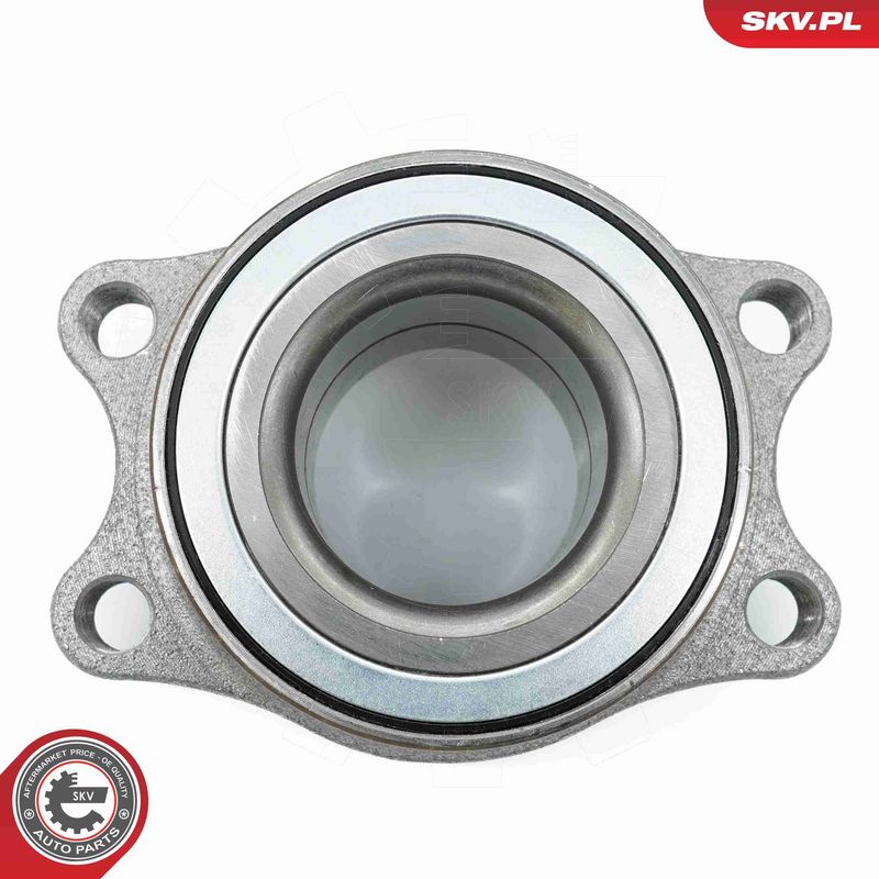 ESEN SKV 29SKV567 Wheel Bearing Kit