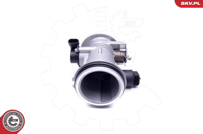 ESEN SKV 12SKV101 Throttle Body