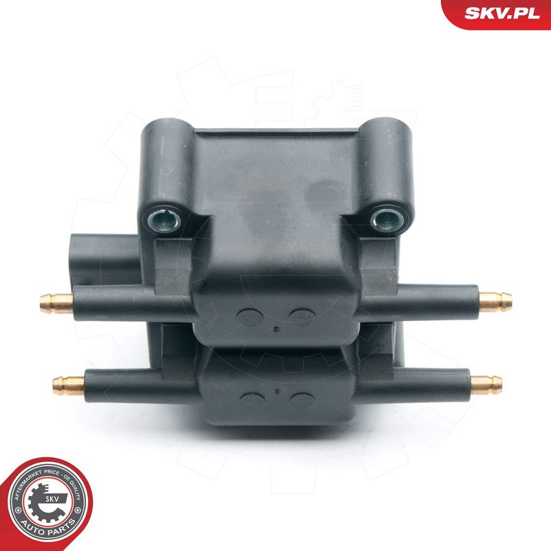 Süütepool, ESEN SKV 03SKV249