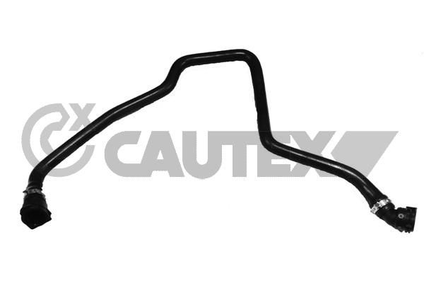 CAUTEX 754397 - Radiator Hose