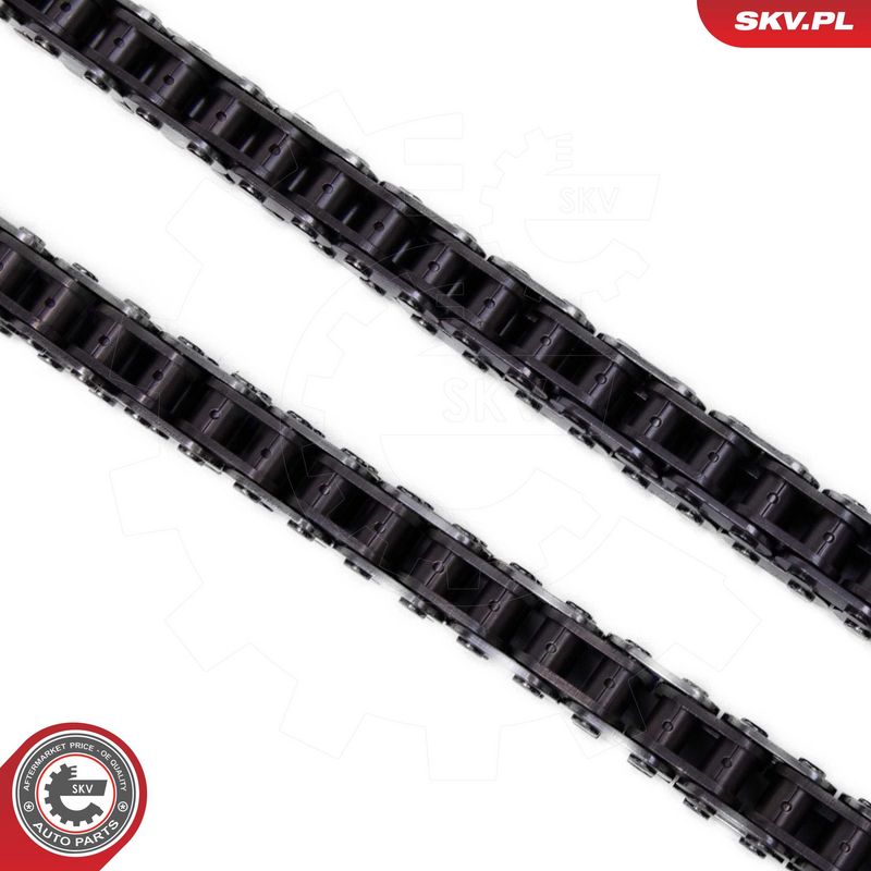 Mootori keti komplekt, ESEN SKV 21SKV166