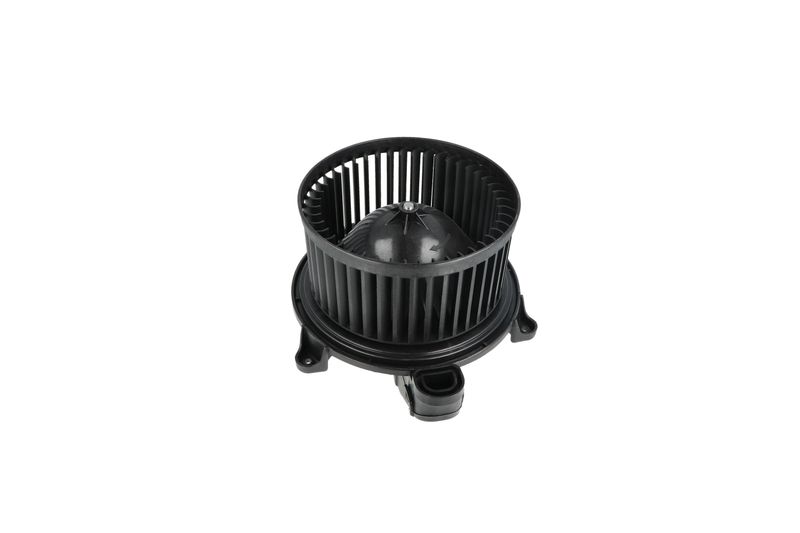 Salongipuhur, NRF 34365