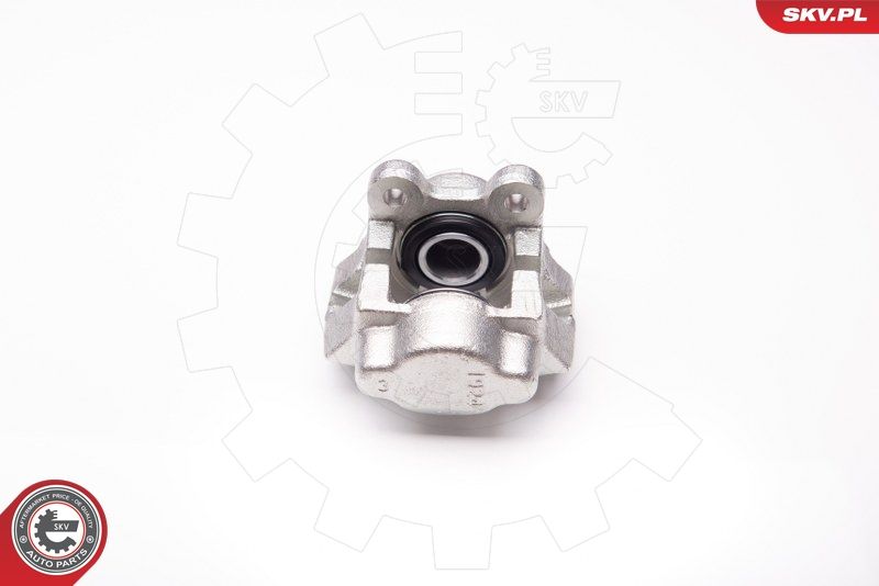 ESEN SKV 34SKV181 Brake Caliper