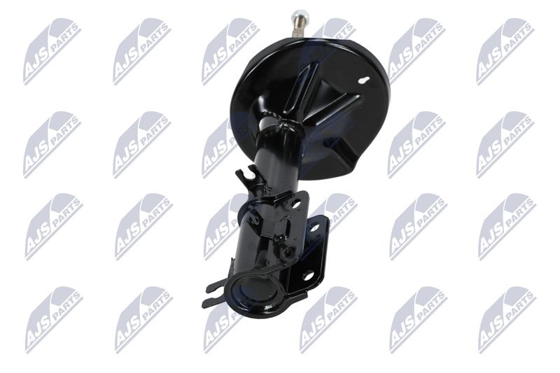 Amort, NTY A-CH-053