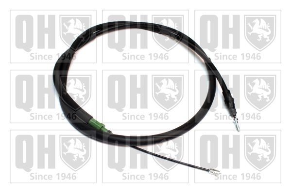 QH_BC3963.JPG