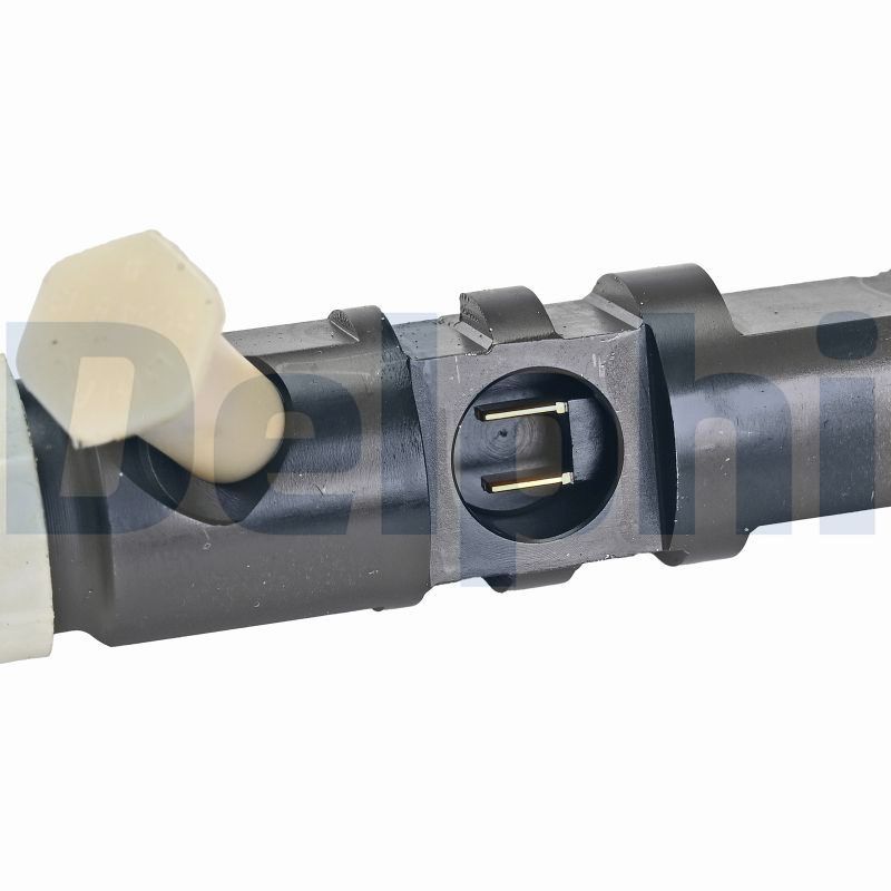 DELPHI R04401D-12B1 Injector