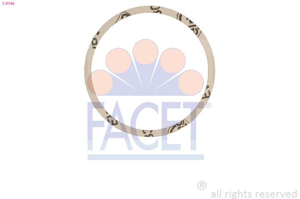 7.9746-FA.JPG