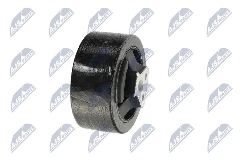 Paigutus, Mootor, NTY ZPS-CH-137