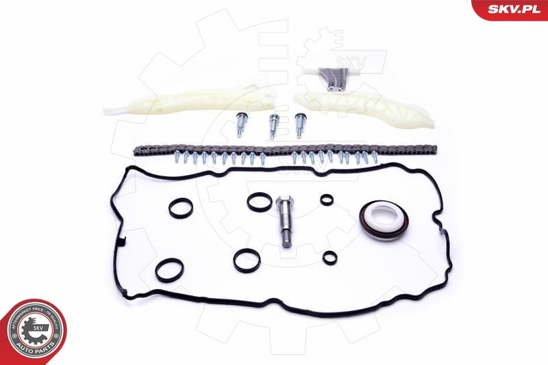 ESEN SKV 21SKV118 Timing Chain Kit