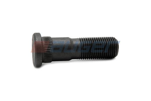 Wielpen
