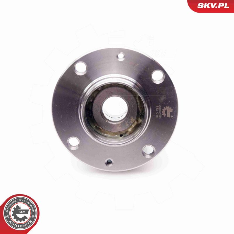 ESEN SKV 29SKV093 Wheel Bearing Kit