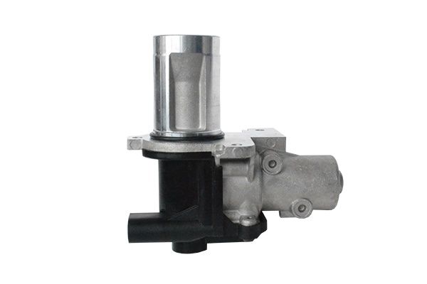 ASAM AUTOMOTIVE 74207 ERG Valve