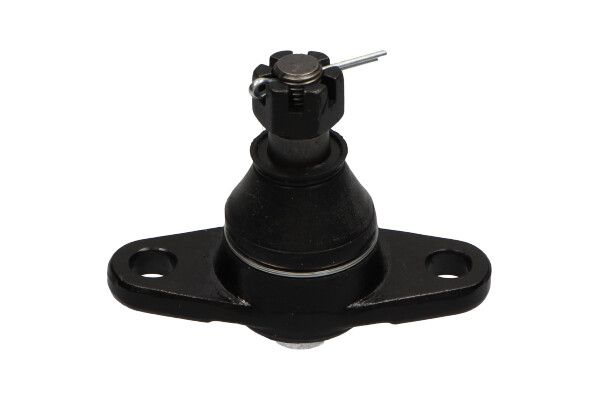 Kavo Parts Šarnyras / girgždukas