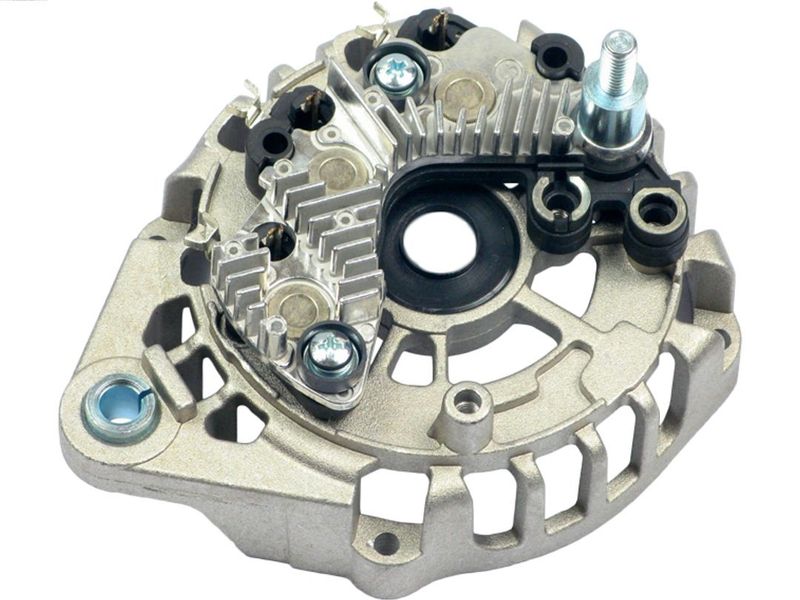 54225.JPG