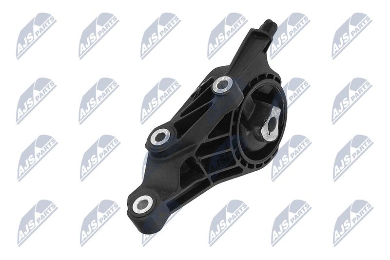 Paigutus, Mootor, NTY ZPS-PL-005