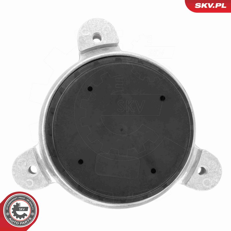 ESEN SKV 75SKV250 Mounting, engine