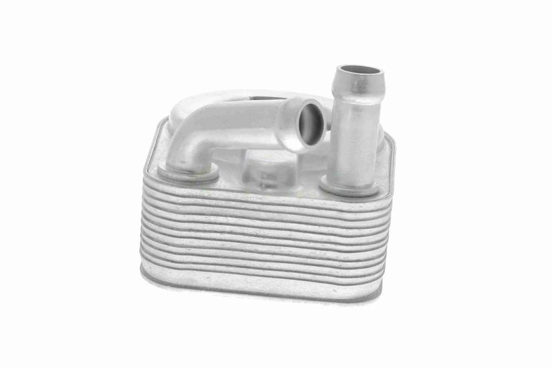 VEMO V48-60-0013 Oil Cooler, engine oil