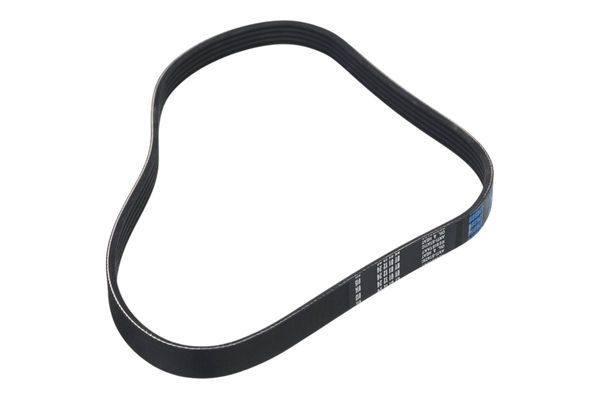 STELLOX 05-00880-SX V-ribbed Belt