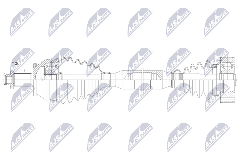 npw-vw-258_9-wm.PNG