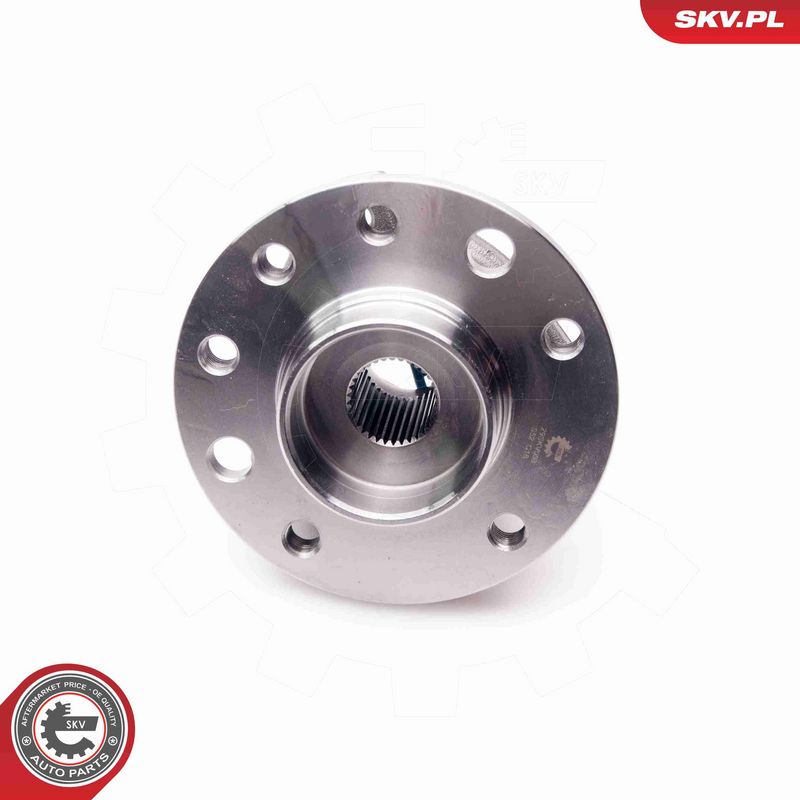 ESEN SKV 29SKV008 Wheel Bearing Kit