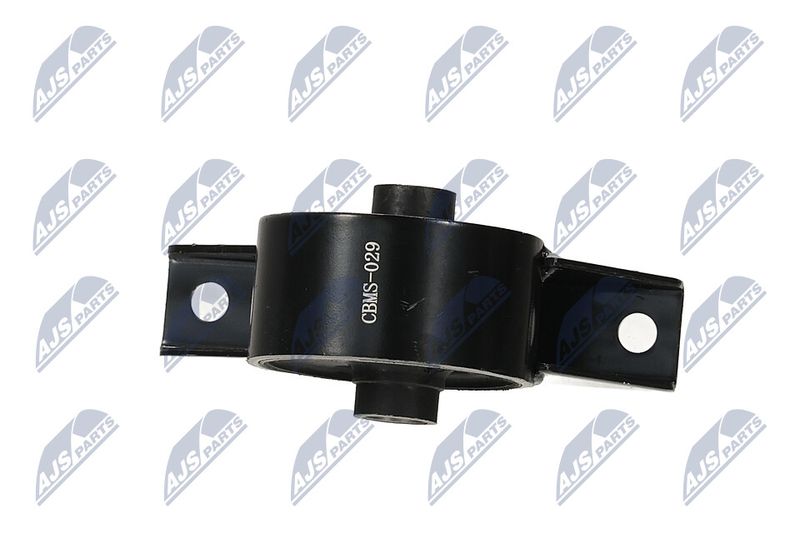 Paigutus, Mootor, NTY ZPS-MS-029