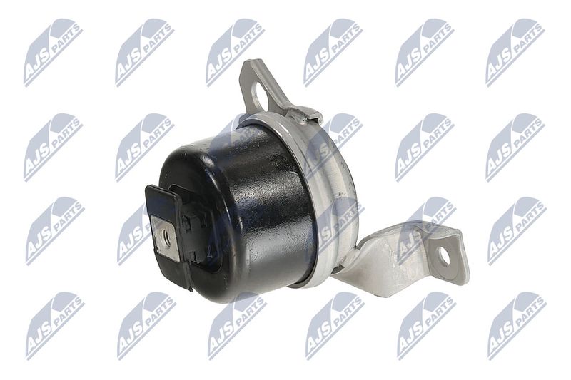 Paigutus, Mootor, NTY ZPS-LR-003