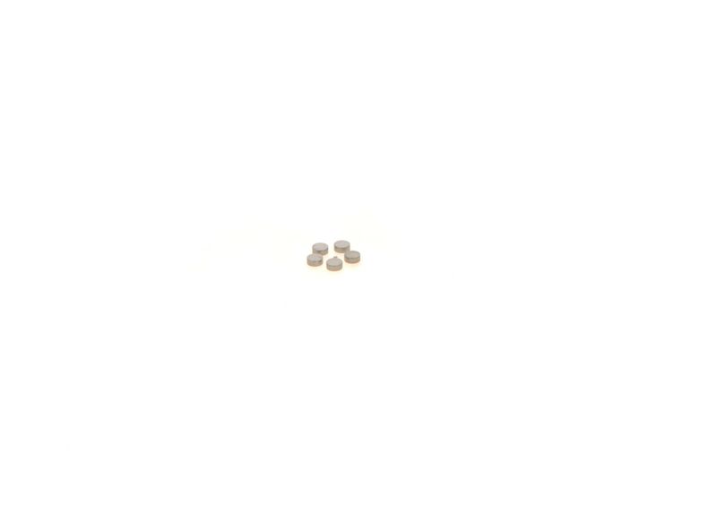BOSCH 1410067223 Washer
