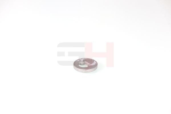 caster shim, sillatala, GH GH-391582