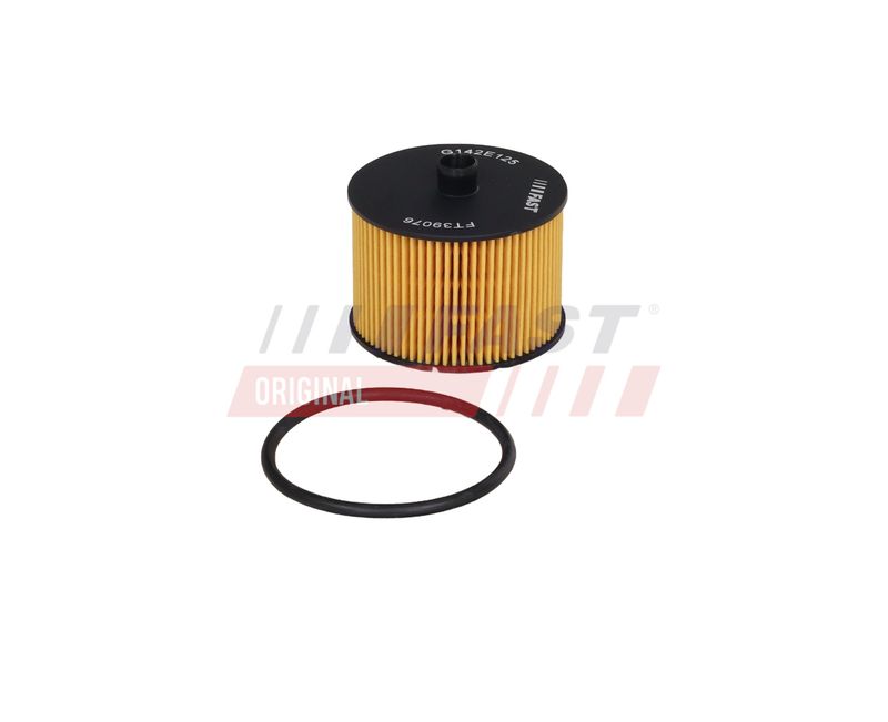 Kütusefilter, FAST FT39076