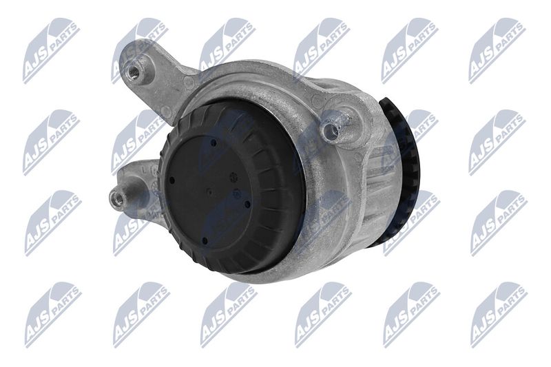 Paigutus, Mootor, NTY ZPS-ME-030