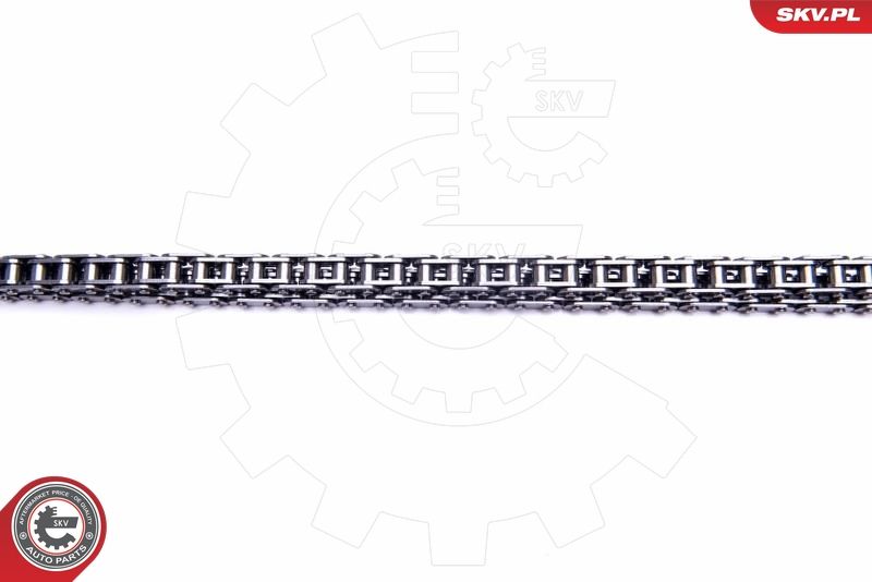 ESEN SKV 21SKV201 Timing Chain Kit