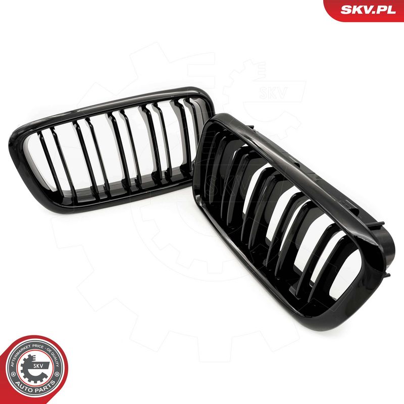 Radiaatorivõre, ESEN SKV 66SKV216