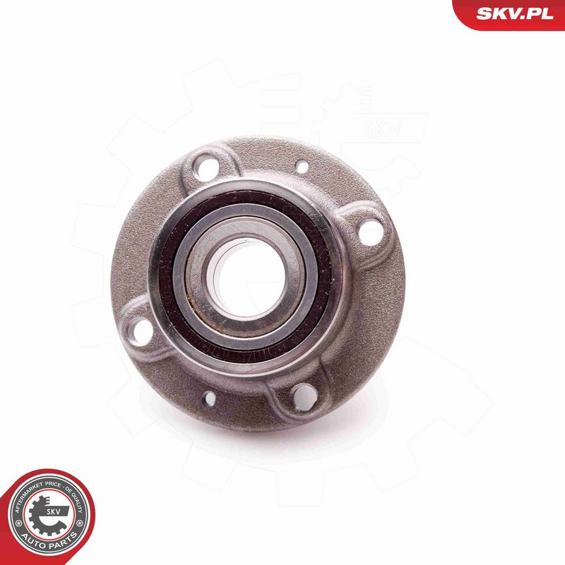 ESEN SKV 29SKV153 Wheel Bearing Kit