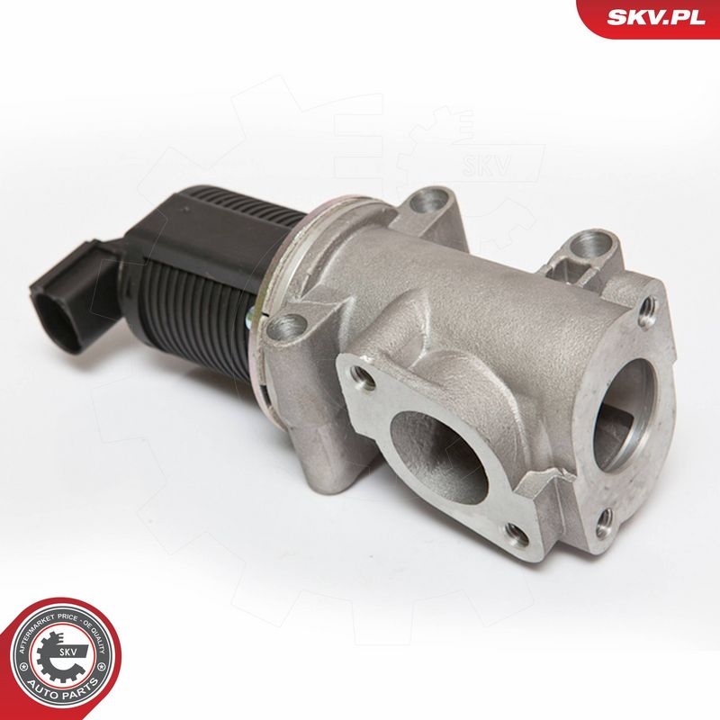 ESEN SKV 14SKV055 EGR Valve
