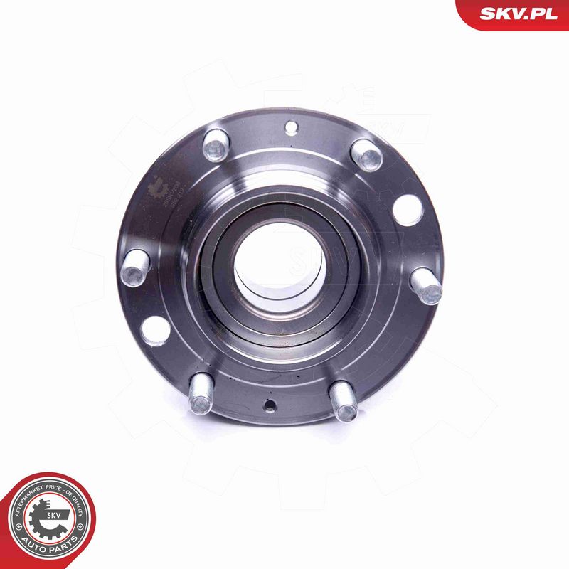 ESEN SKV 29SKV206 Wheel Bearing Kit